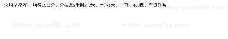 求購胸徑15公分早櫻