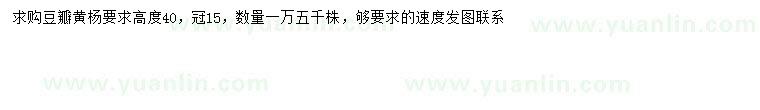 求購高40公分豆瓣黃楊