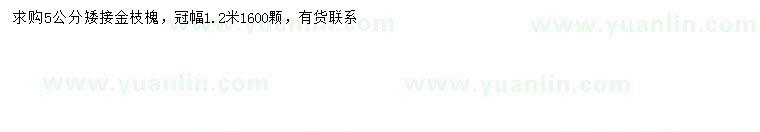 求購5公分金枝槐