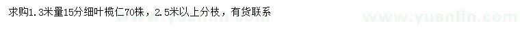 求購1.3米量15公分細葉欖仁