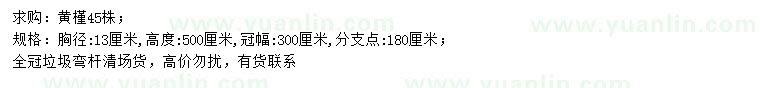 求購(gòu)胸徑13公分黃槿