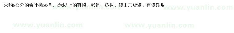 求購(gòu)8公分金葉榆