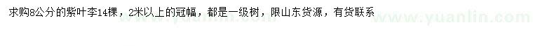 求購8公分紫葉李