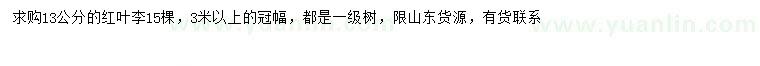 求購13公分紅葉李