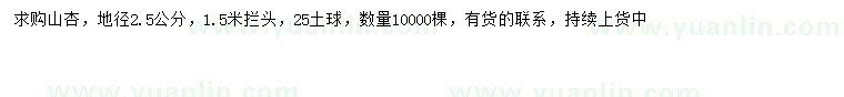 求購(gòu)地徑2.5公分山杏