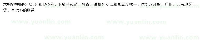 求購胸徑12、16公分桫欏