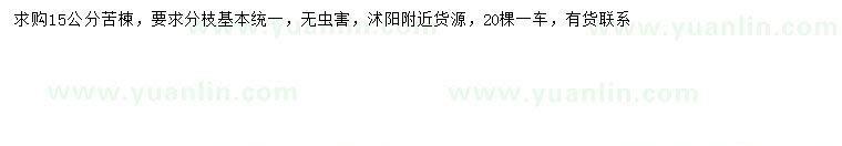 求購15公分苦楝