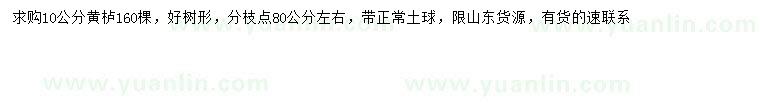 求購(gòu)10公分黃櫨