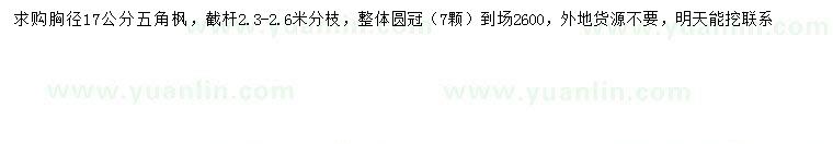 求購(gòu)胸徑17公分五角楓
