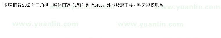 求購(gòu)胸徑20公分三角楓