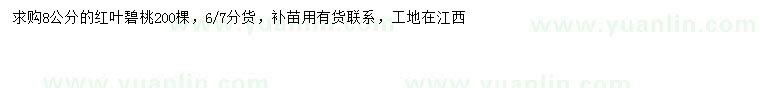 求購8公分紅葉碧桃