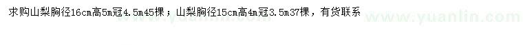 求購胸徑15、16公分山梨