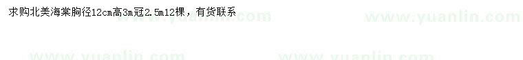 求購胸徑12公分北美海棠