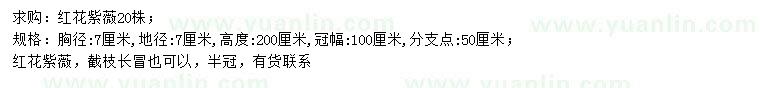 求購胸徑7公分紅花紫薇