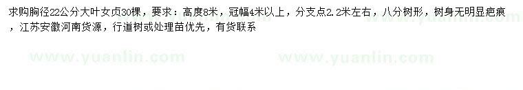 求購胸徑22公分大葉女貞
