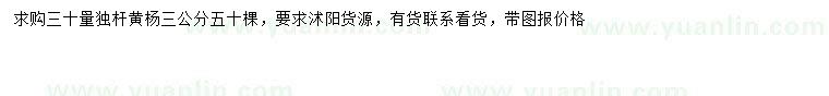 求購30量3公分黃楊