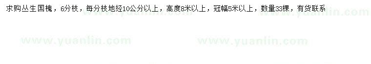 求購冠幅5米以上叢生國槐