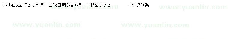 求購15公分法桐