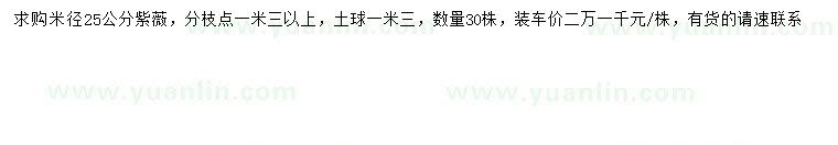 求購米徑25公分紫薇