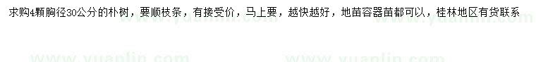 求購胸徑30公分樸樹