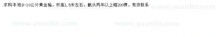 求購8-10公分黃金榆