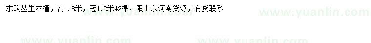 求購(gòu)冠幅1.2米叢生木槿