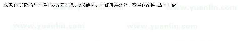 求購5公分元寶楓