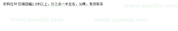 求購冠幅2.5米以上紅葉石楠