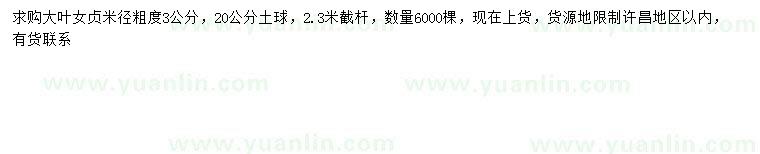 求購米徑3公分大葉女貞
