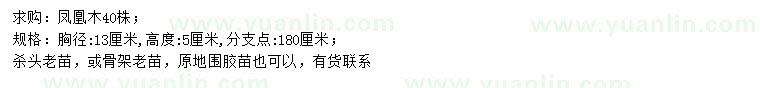 求購(gòu)胸徑13公分鳳凰木