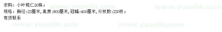 求購胸徑23公分小葉欖仁