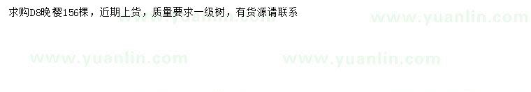 求購地徑8公分晚櫻