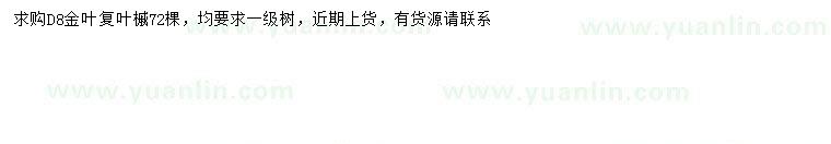 求購地徑8公分金葉復(fù)葉槭