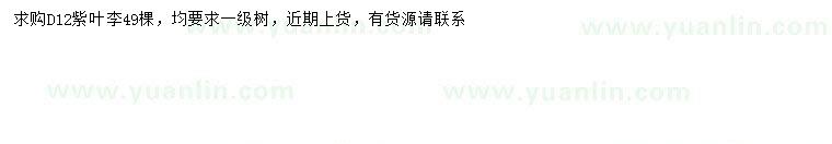 求購地徑12公分紫葉李