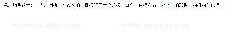 求購胸徑10公分國槐