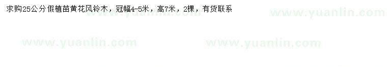 求購25公分黃花風鈴木
