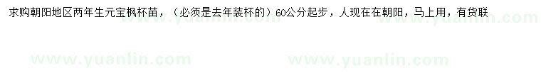 求購60公分以上元寶楓