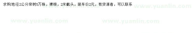 求購地徑2公分欒樹