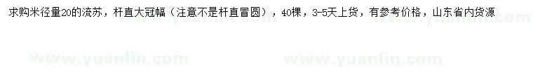 求購米徑20公分流蘇