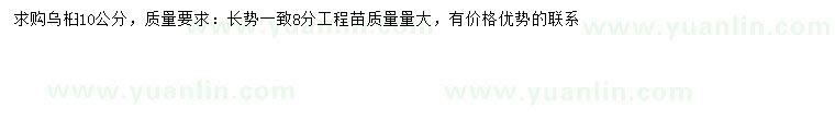 求購10公分烏桕