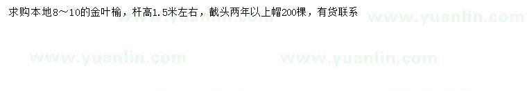 求購(gòu)8-10公分金葉榆