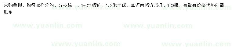 求購(gòu)胸徑30公分垂柳