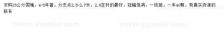 求購15公分國槐