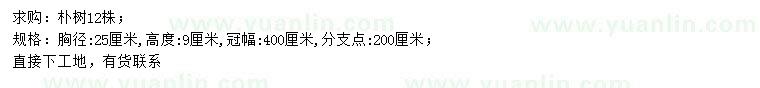 求購(gòu)胸徑25公分樸樹(shù)