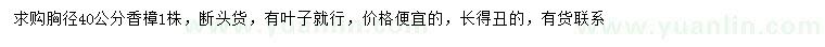 求購胸徑40公分香樟