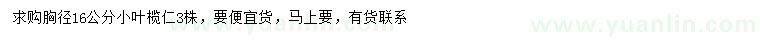 求購胸徑16公分小葉欖仁