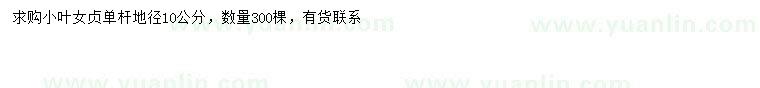 求購地徑10公分小葉女貞