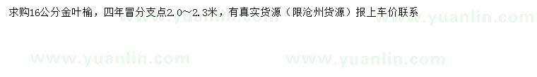 求購16公分金葉榆
