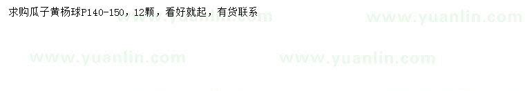 求購冠幅140-150公分瓜子黃楊球