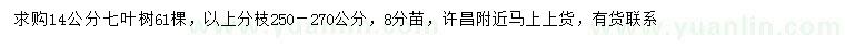 求購(gòu)14公分七葉樹(shù)